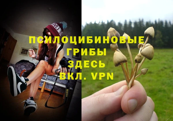 таблы Алексин