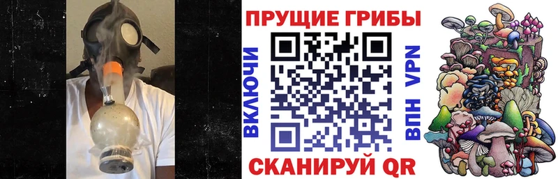 Псилоцибиновые грибы Psilocybe  Орск 