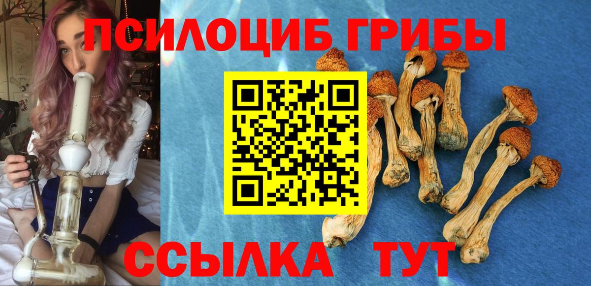 Псилоцибиновые грибы Magic Shrooms Орск