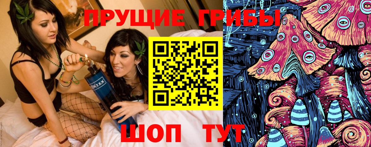 Галлюциногенные грибы Psilocybe  Вход с VPN  Орск 