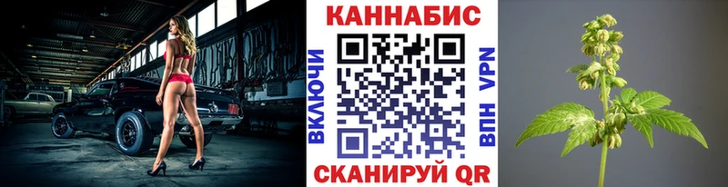 Бошки марихуана гибрид Орск