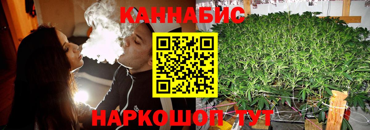 Марихуана конопля  Вход с VPN  МАРИХУАНА ГИДРОПОН  Каннабис White Widow  Орск  МАРИХУАНА Bruce Banner 